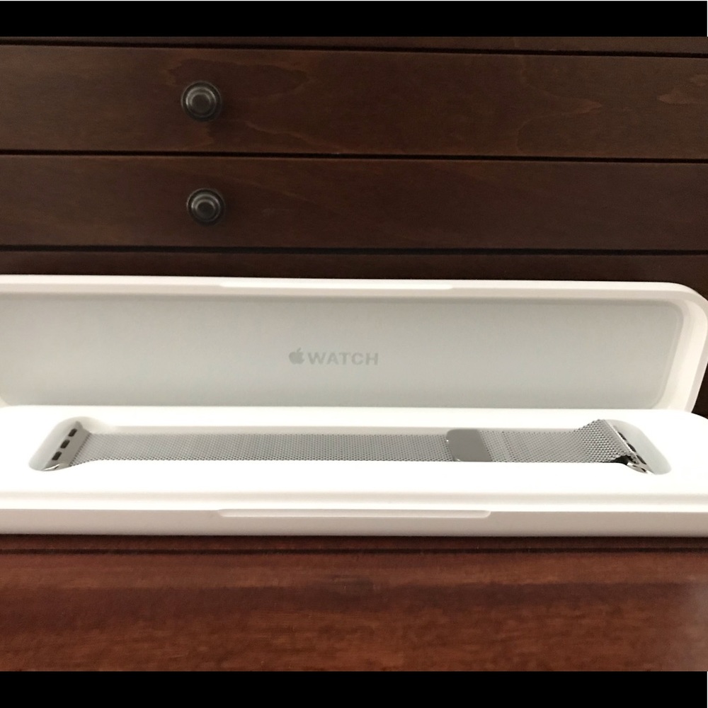 Apple Stainless Steel Milanese Watch Band 40mm